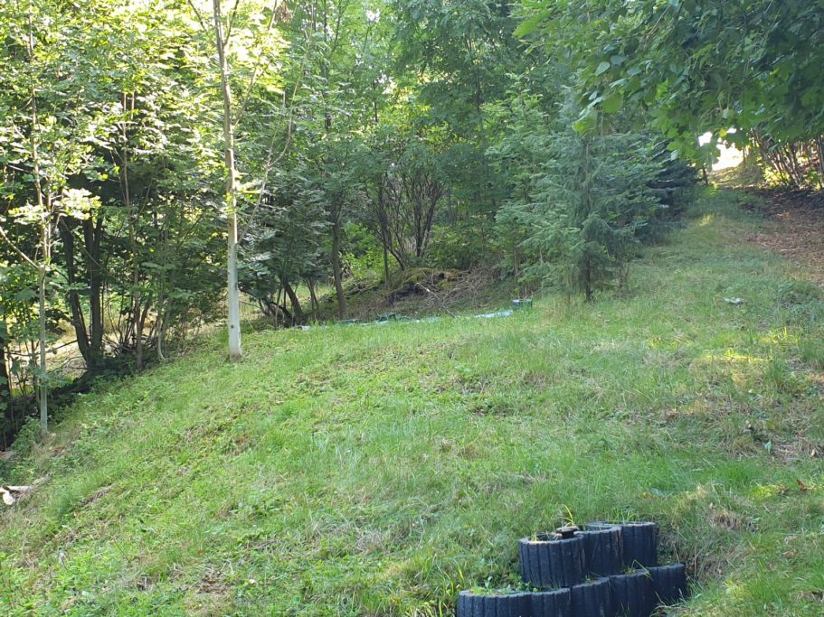 Blick nach oben und Weg zum "Happy Place"