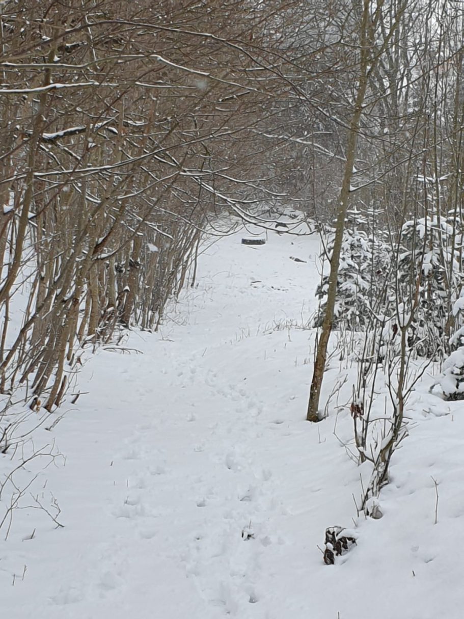 Blick vom oberen Weg nach unten - im Winter