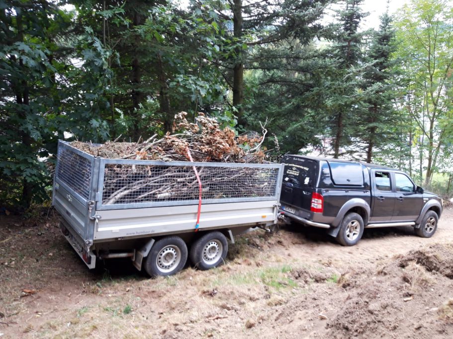 ...und immer wieder Abstransport von Laub und Geäst