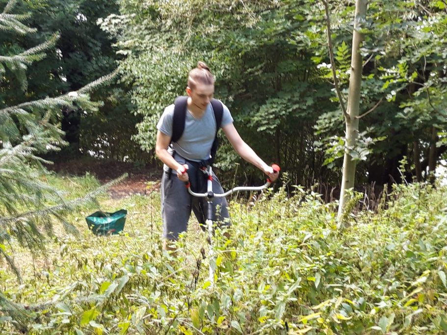 Sohnemann beim Kampf mit der Natur