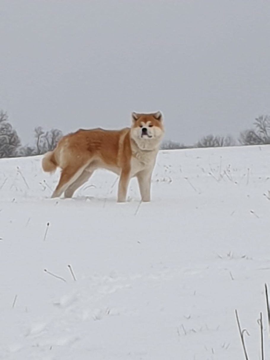 Winter im Erzgebirge mag ich am Liebsten